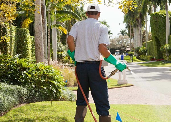 About Butler TN Pest Control Pros